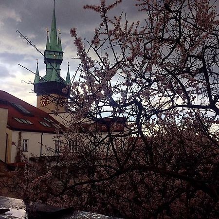 Althansky Palac Znojmo Buitenkant foto