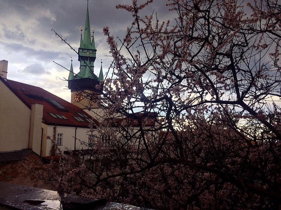 Althansky Palac Znojmo Buitenkant foto
